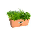 green basics balkonbak mini 30cm mild terra